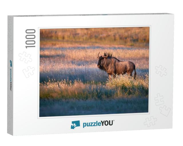 Blue Wildebeest, Connochaetes Taurinus, Large Antelope Wa... Jigsaw Puzzle with 1000 pieces