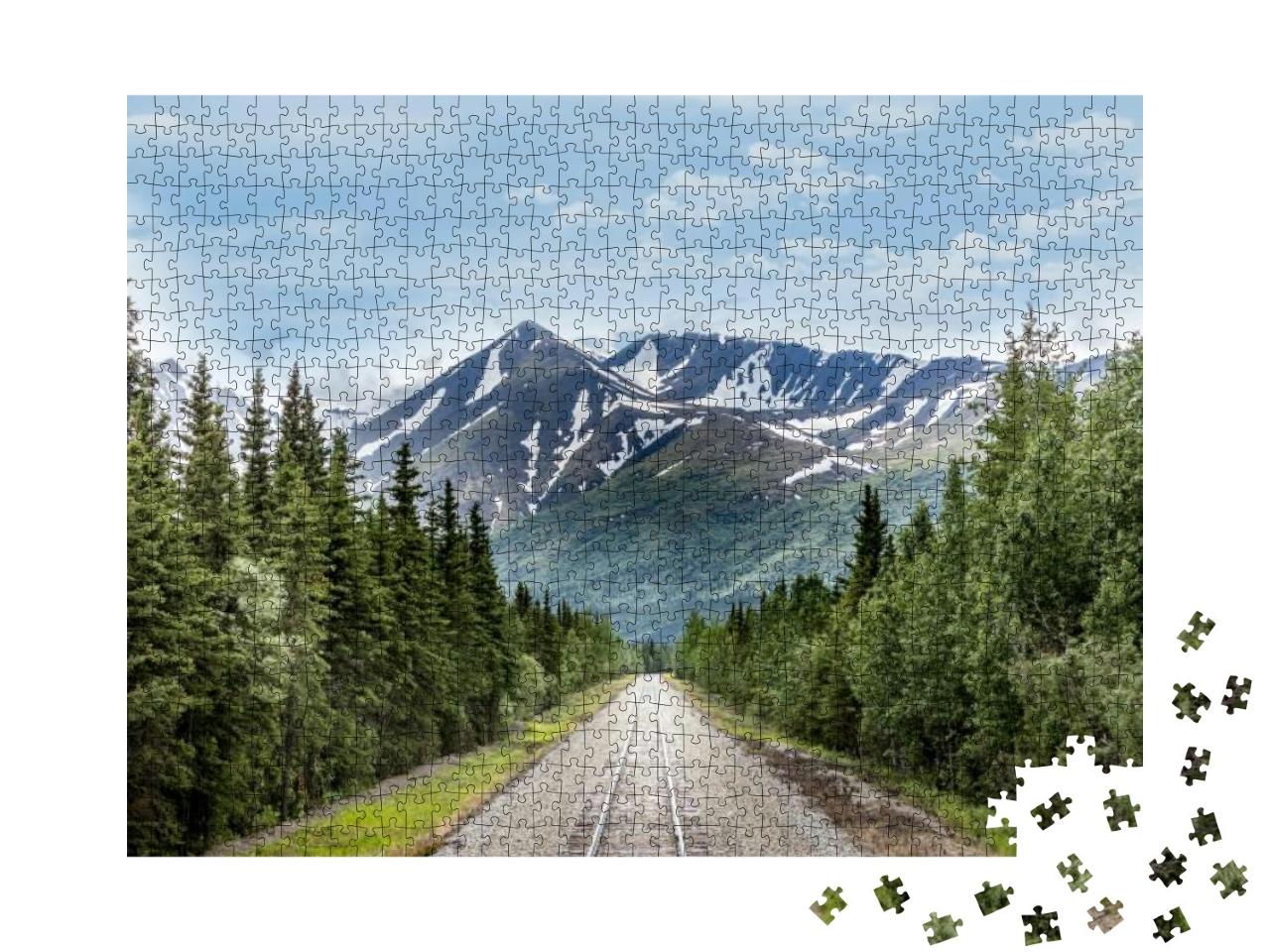 Mountain Range & Railroad Track in Denali National Park A... Jigsaw Puzzle with 1000 pieces