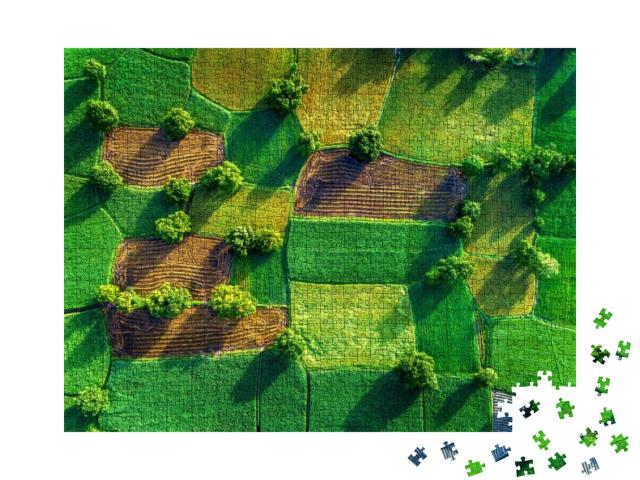 Royalty High Quality Free Stock Image Aerial View of Rice... Jigsaw Puzzle with 1000 pieces