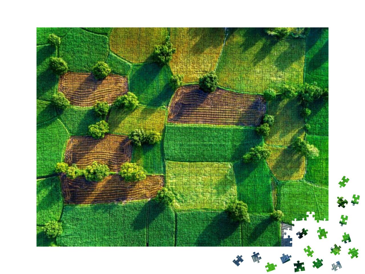 Royalty High Quality Free Stock Image Aerial View of Rice... Jigsaw Puzzle with 1000 pieces
