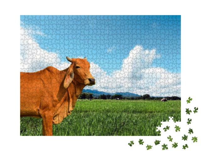 Brown Cow in the Green Pastures on a Sunny Spring Day wit... Jigsaw Puzzle with 1000 pieces