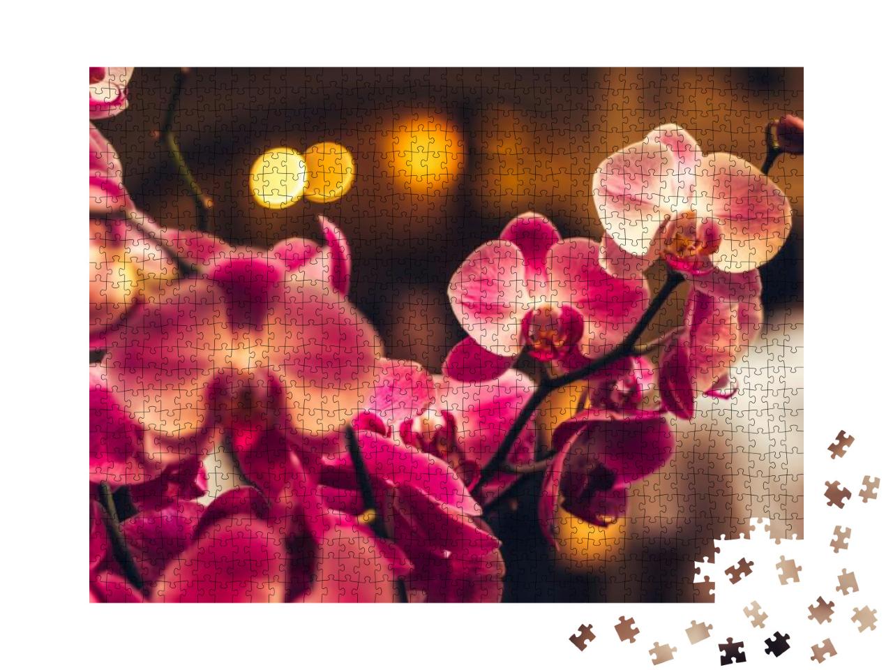 Orchid Flower in Winter or Spring Day Tropical Garden Bac... Jigsaw Puzzle with 1000 pieces