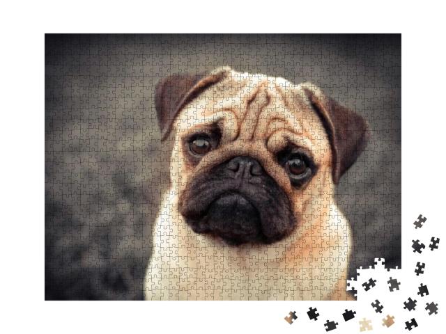 Portrait of Beautiful Male Pug Puppy Dog Siting in Front... Jigsaw Puzzle with 1000 pieces