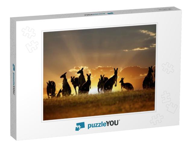 Australian Outback Kangaroo Series... Jigsaw Puzzle