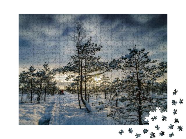 Fantastic Evening Landscape in a Colorful Sunlight. Drama... Jigsaw Puzzle with 1000 pieces
