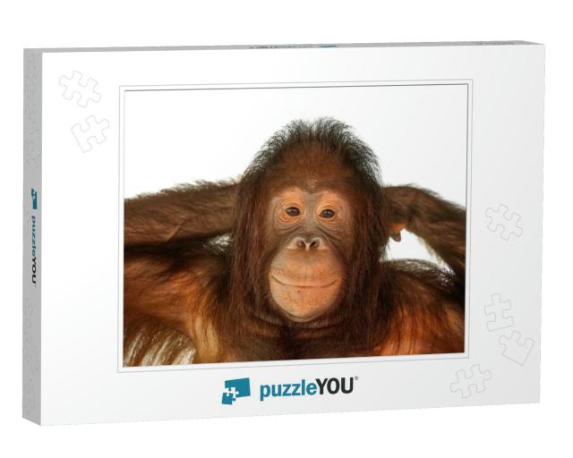 Orangutan Cute... Jigsaw Puzzle