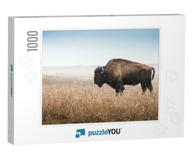 American Bison, Buffalo, Profile Standing in Tall Grass P... Jigsaw Puzzle with 1000 pieces