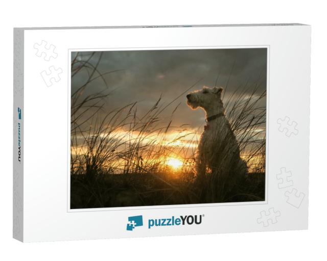 Wire Haired Fox Terrier Sitting with Dramatic Sunset Behi... Jigsaw Puzzle