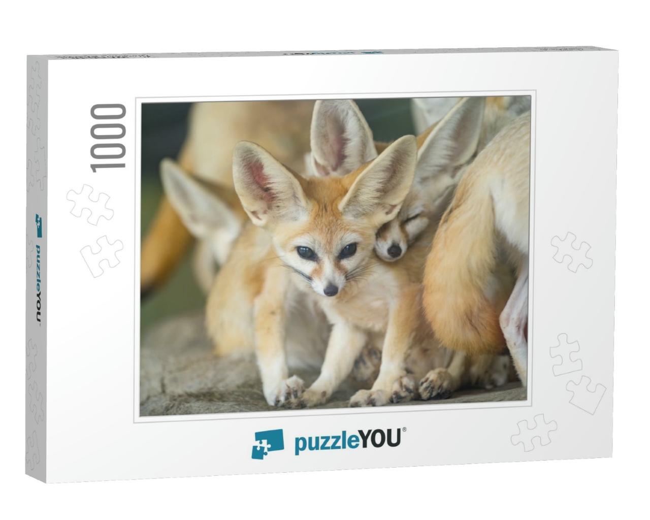 Fennec Fox, Selective Focus... Jigsaw Puzzle with 1000 pieces