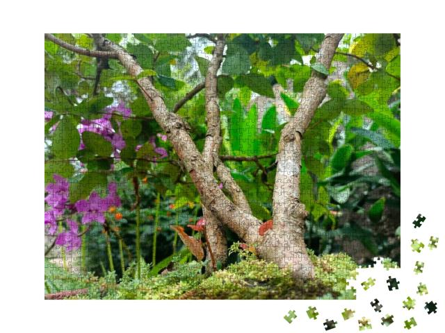 Best Picture of Bonsai Tree in Tropical Nature... Jigsaw Puzzle with 1000 pieces