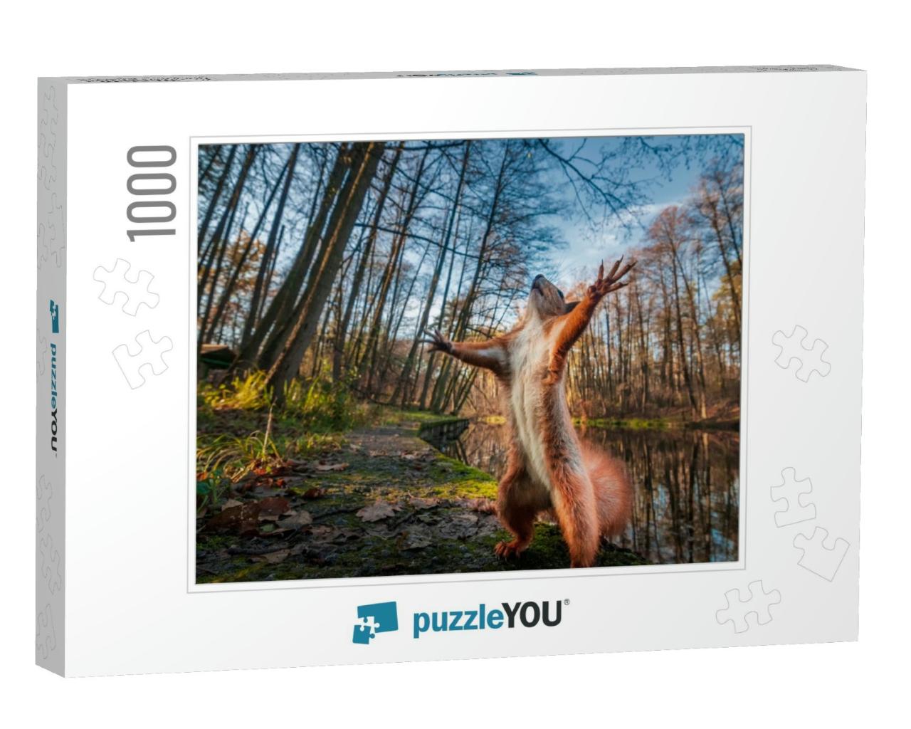 Funny Red Squirrel Standing in the Forest Like Master of... Jigsaw Puzzle with 1000 pieces