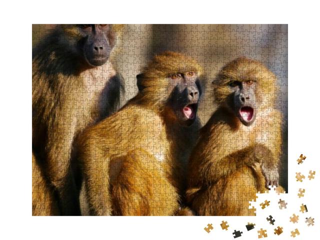 Baboons Family. Three Baboons Funny Expression... Jigsaw Puzzle with 1000 pieces