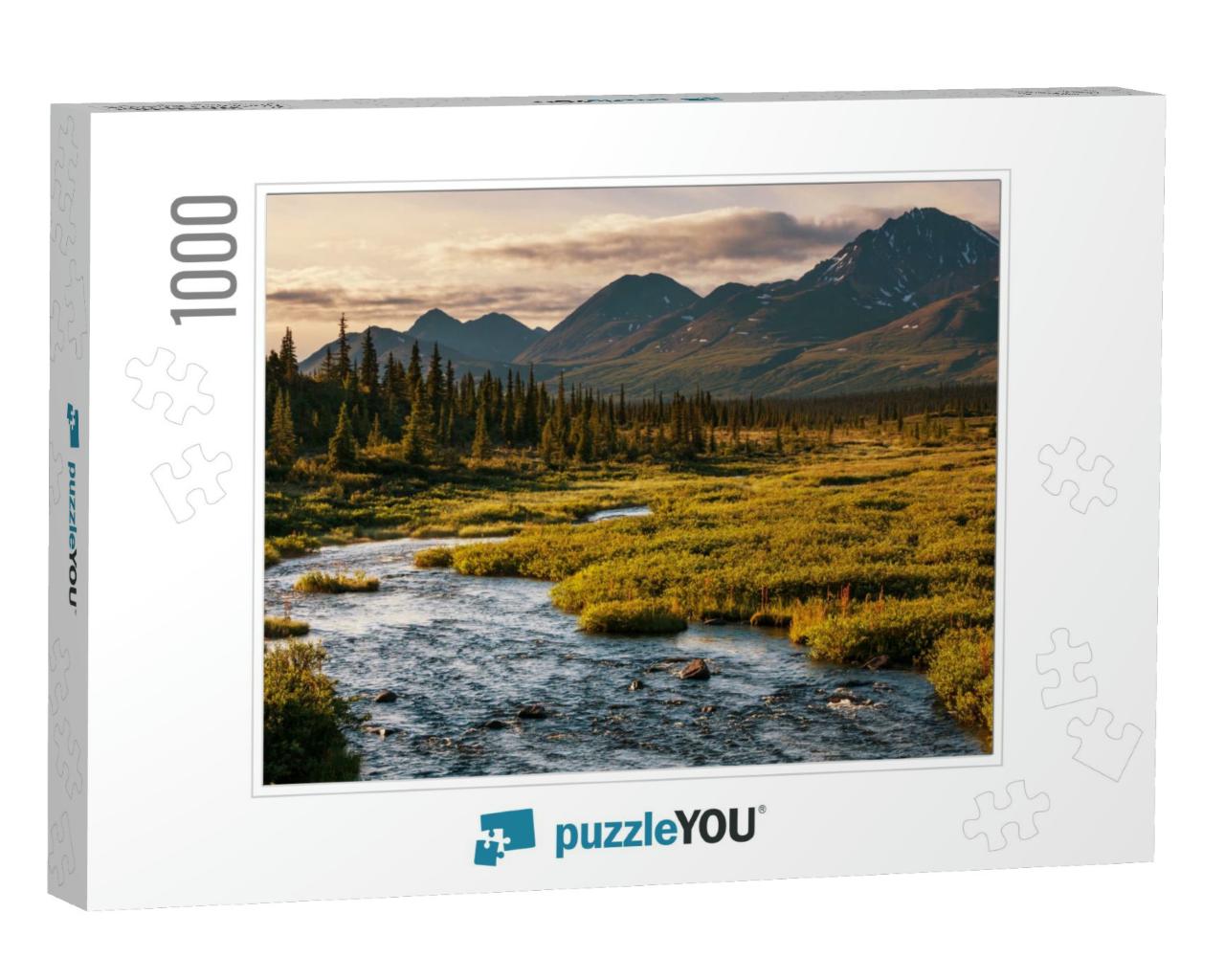 Serenity Lake in Tundra on Alaska... Jigsaw Puzzle with 1000 pieces