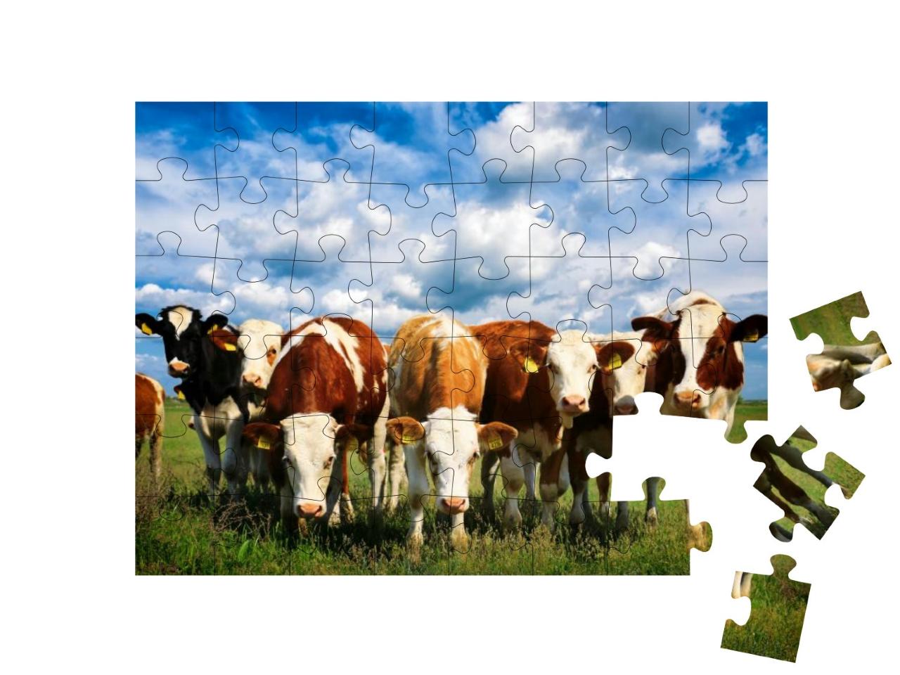 Cows on a Green Summer Meadow... Jigsaw Puzzle with 48 pieces