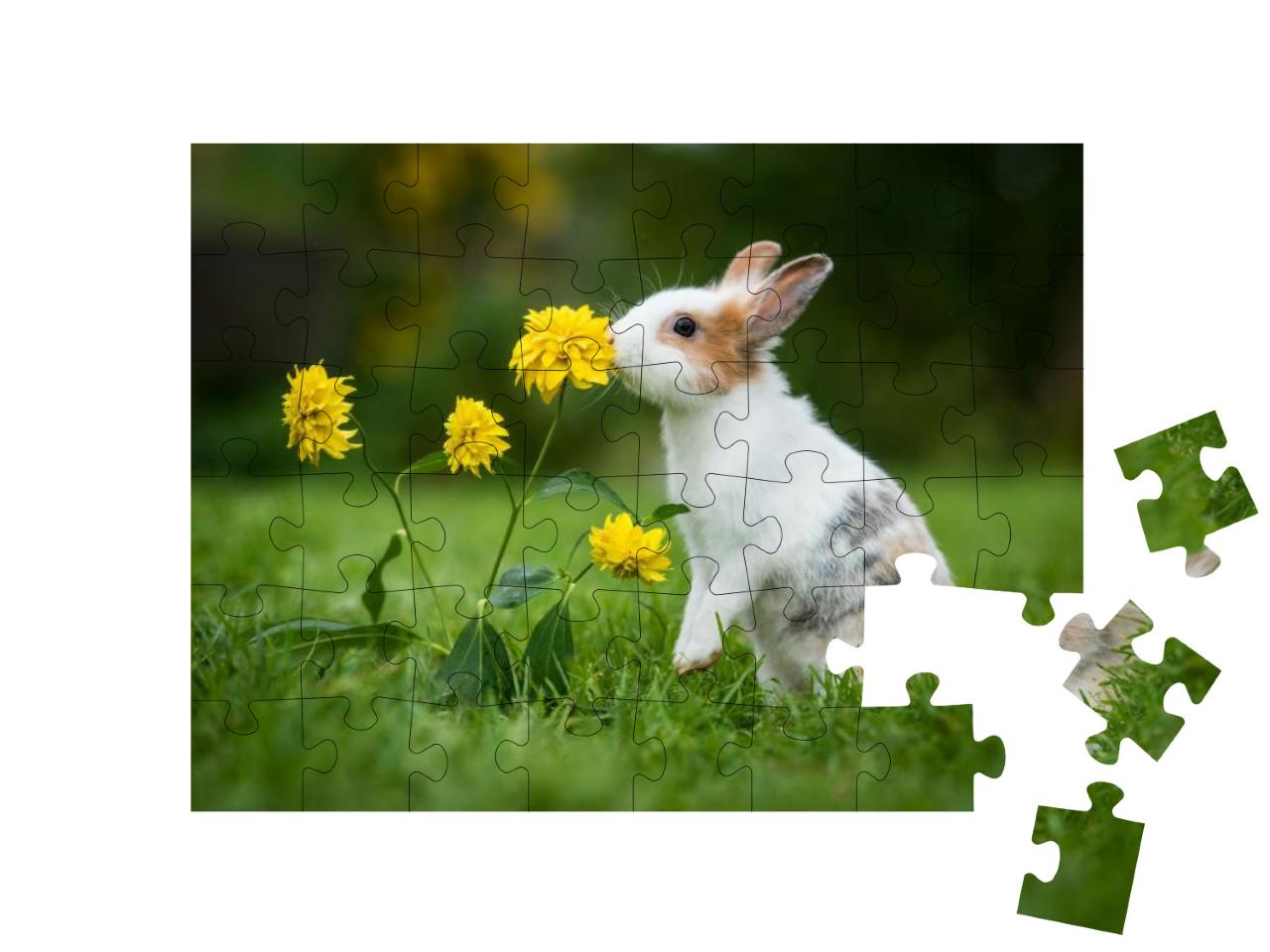 Little Rabbit Smelling a Flower in the Garden... Jigsaw Puzzle with 48 pieces