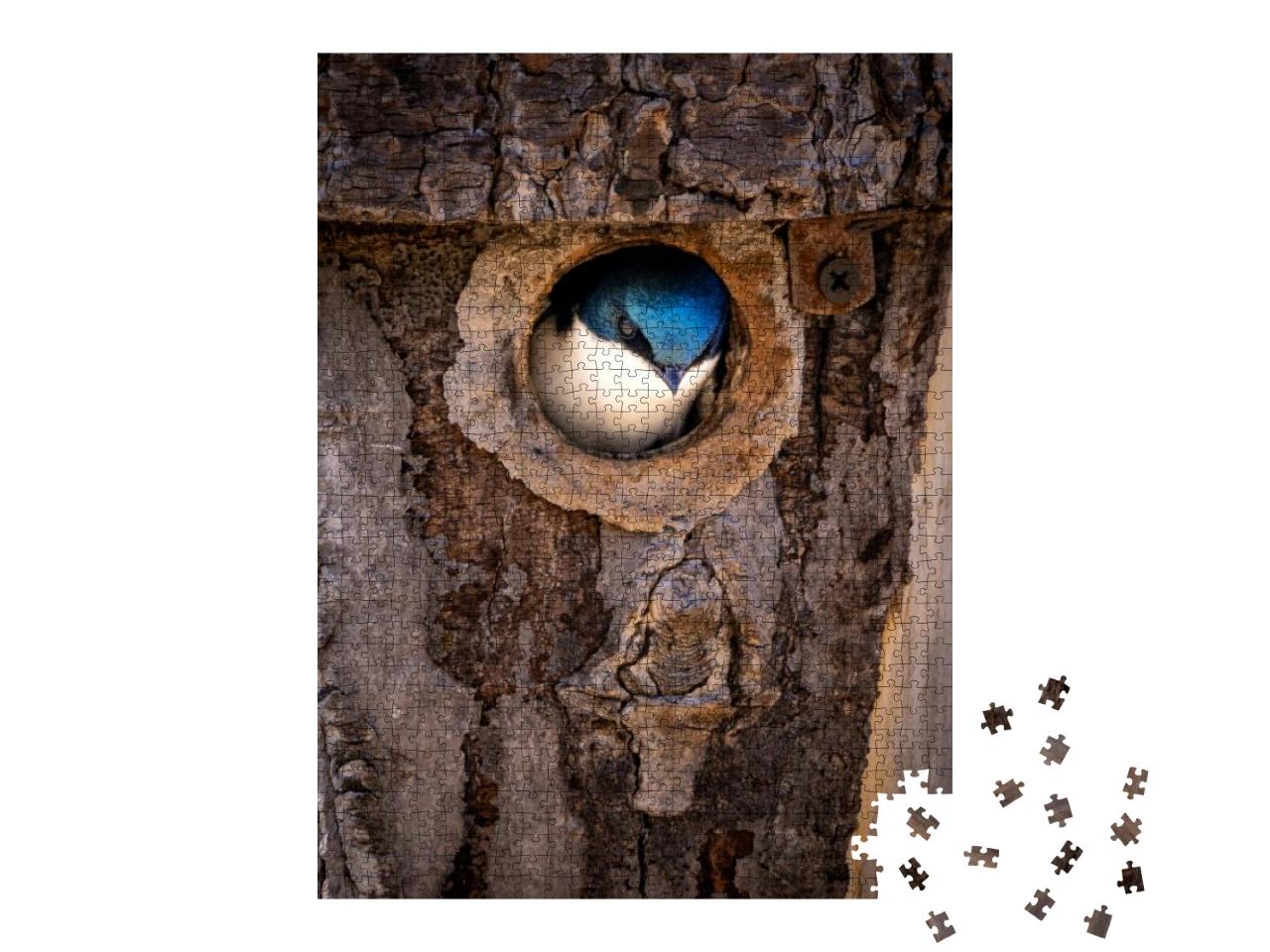Close-Up Photo of a Tree Swallow in the Spring During Nes... Jigsaw Puzzle with 1000 pieces