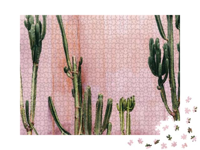 Plants on Pink Concept. Cactus on Pink Wall Background. M... Jigsaw Puzzle with 1000 pieces