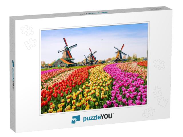 Landscape with Tulips, Traditional Dutch Windmills & Hous... Jigsaw Puzzle