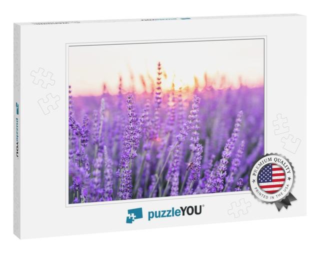 Sunset Over a Violet Lavender Field. Valensole Lavender F... Jigsaw Puzzle