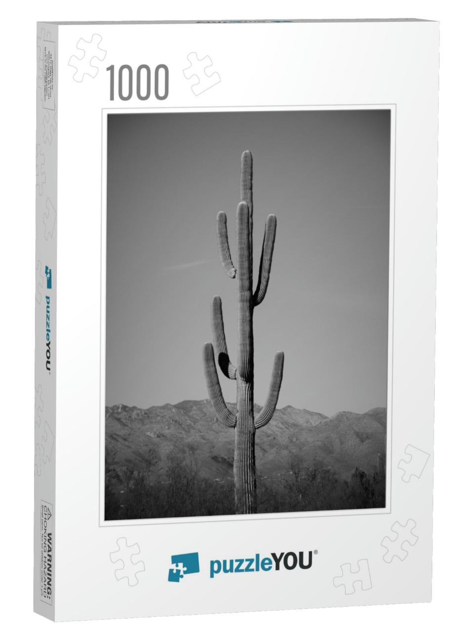 Cactus in Saguaro National Park Near Tucson Arizona Deser... Jigsaw Puzzle with 1000 pieces