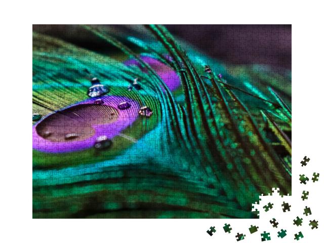 Micro Peacock Feather Hd Image, Best Texture Background... Jigsaw Puzzle with 1000 pieces