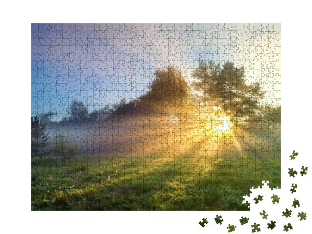 Beautiful Panorama Landscape with Sun & Forest & Meadow A... Jigsaw Puzzle with 1000 pieces