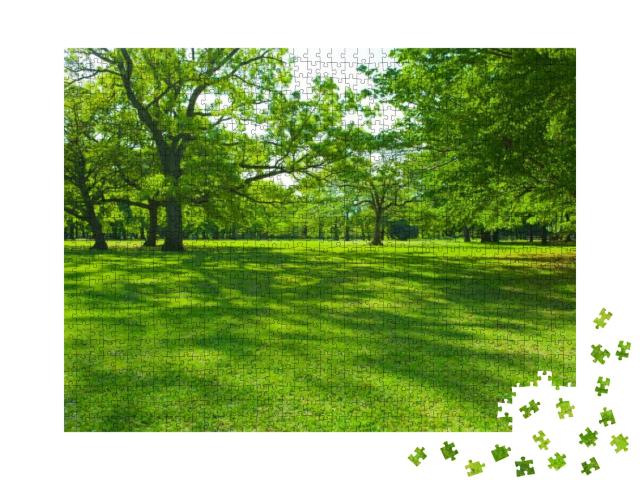 Park Tree in the Morning... Jigsaw Puzzle with 1000 pieces