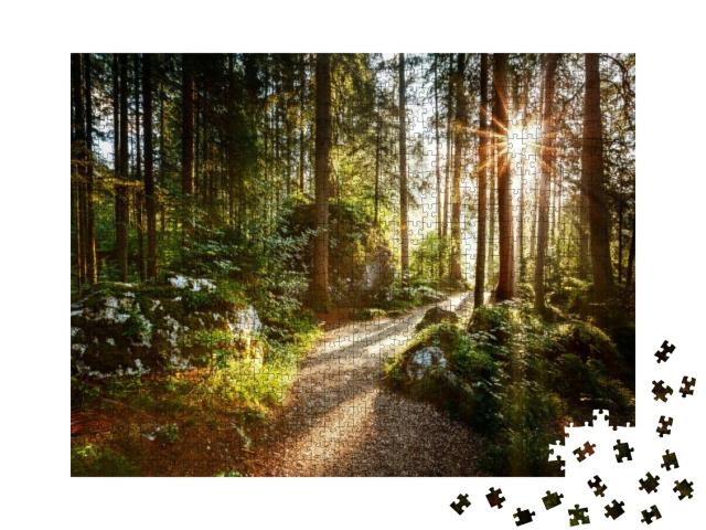 Magical Scenic & Pathway Through Woods in the Morning Sun... Jigsaw Puzzle with 1000 pieces