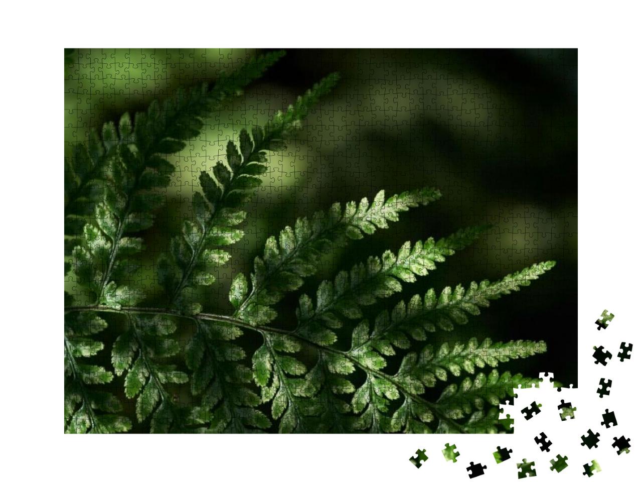 Light & Shadow on the Fern Leaf... Jigsaw Puzzle with 1000 pieces