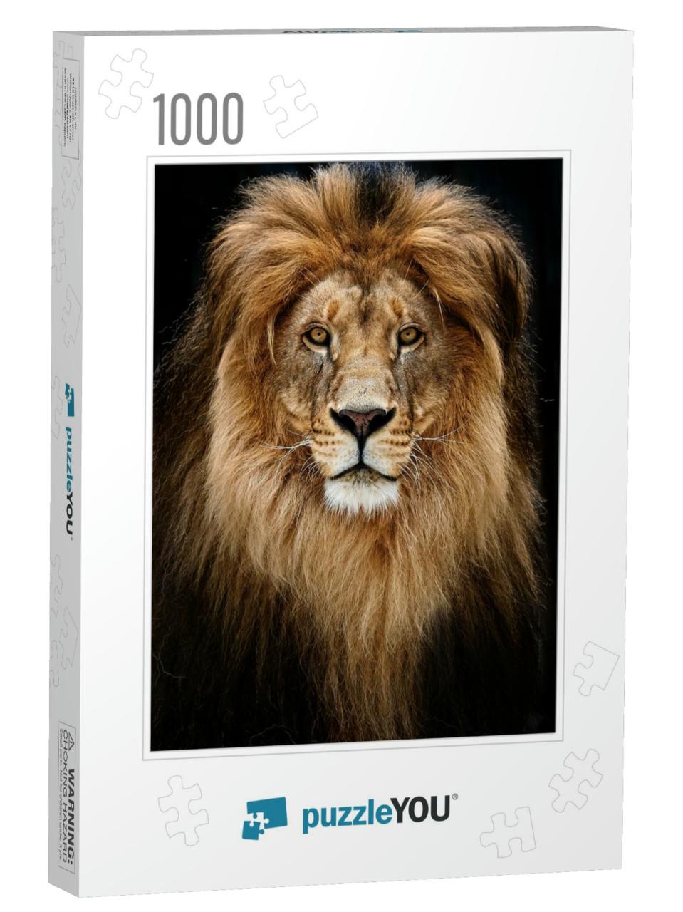 Portrait of a Beautiful Lion, Lion in Dark... Jigsaw Puzzle with 1000 pieces