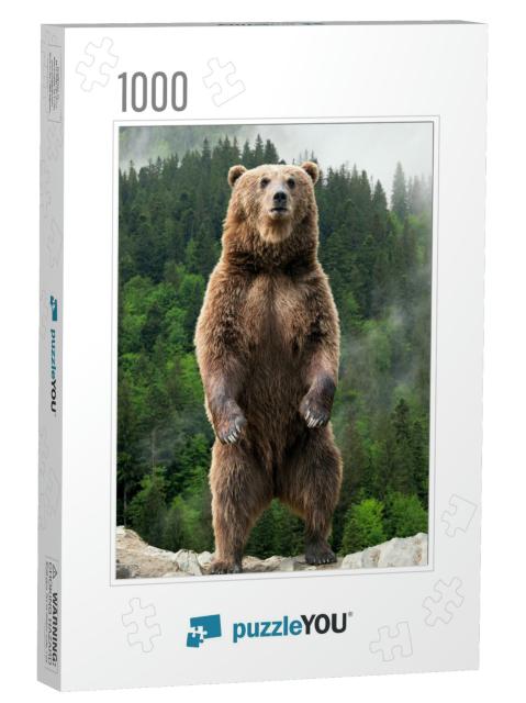 Brown Bear Ursus Arctos Standing on His Hind Legs in the... Jigsaw Puzzle with 1000 pieces