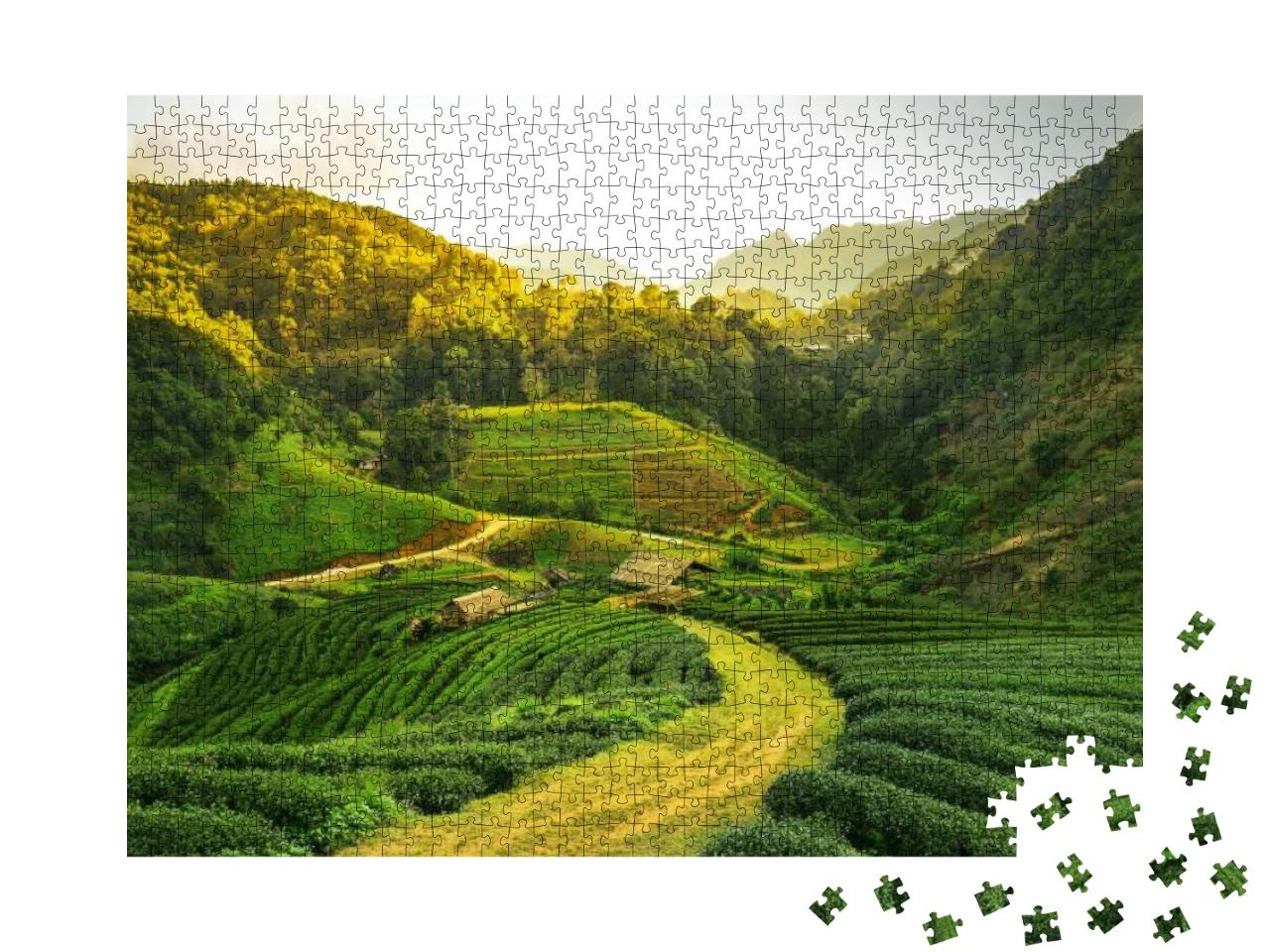 Sunrise View of Tea Plantation Landscape... Jigsaw Puzzle with 1000 pieces