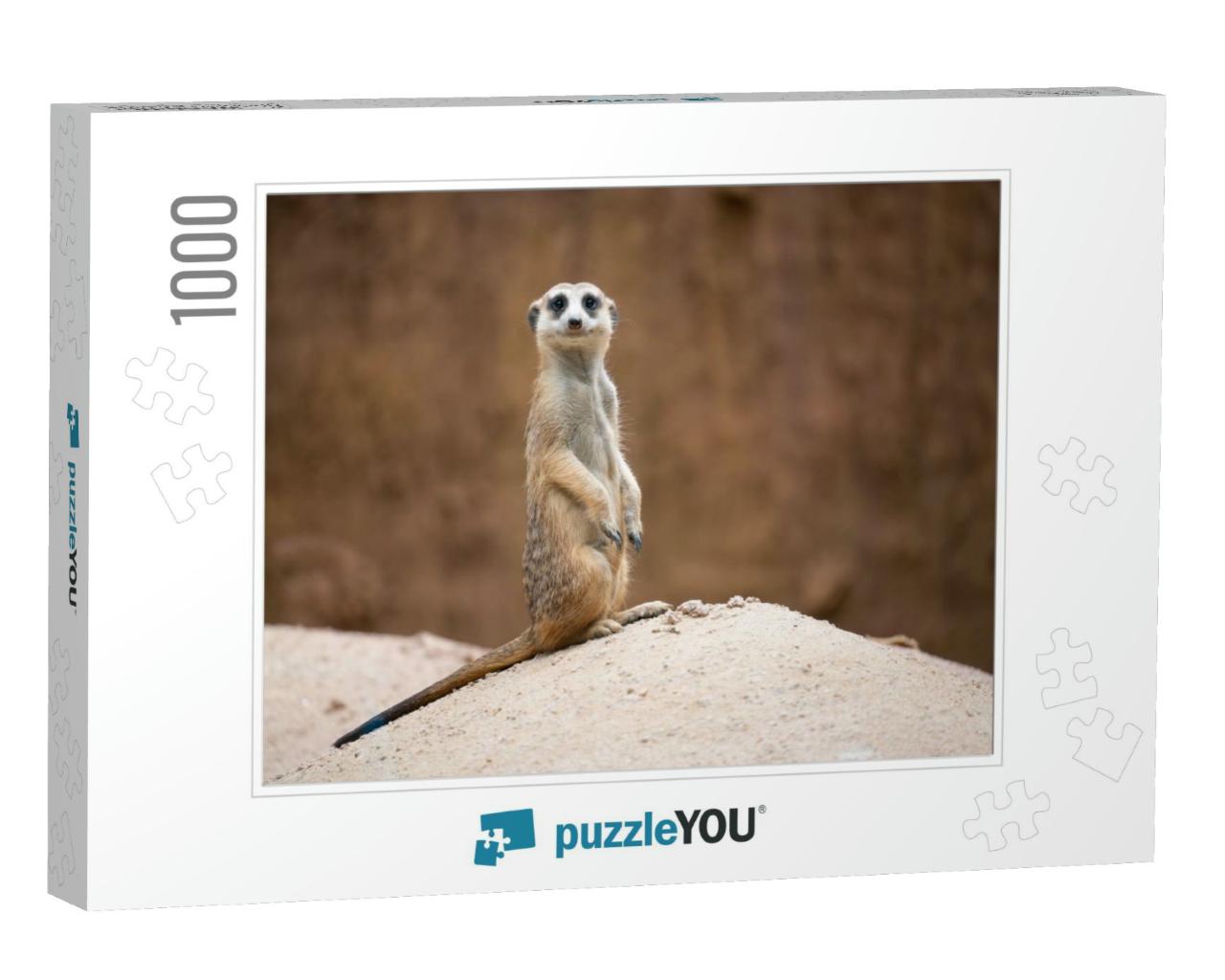 Cute Meerkat Suricata Suricatta Standing on the Rock... Jigsaw Puzzle with 1000 pieces