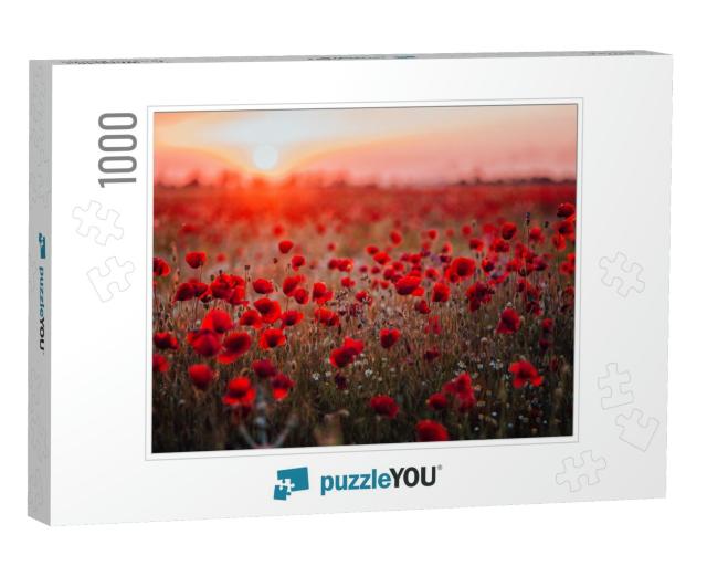 Beautiful Field of Red Poppies in the Sunset Light. Russi... Jigsaw Puzzle with 1000 pieces