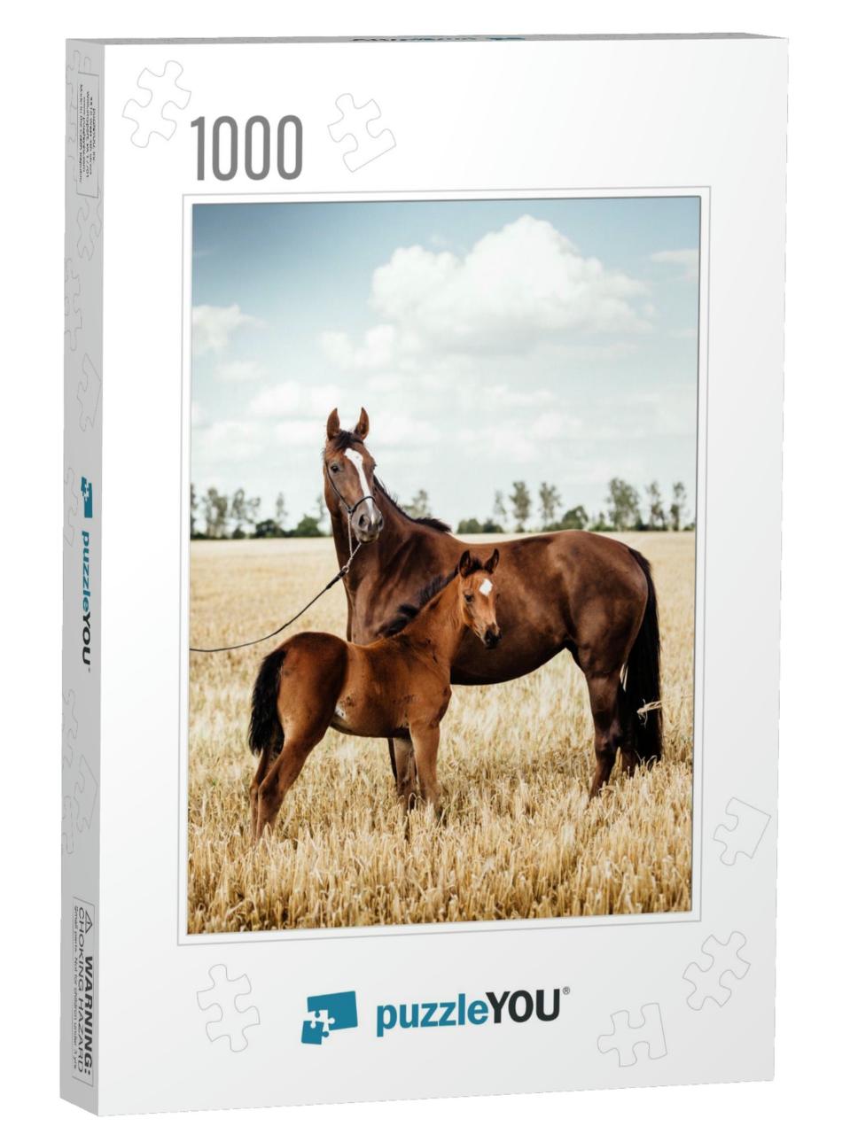 Beautiful Chestnut Mare with a Foal... Jigsaw Puzzle with 1000 pieces