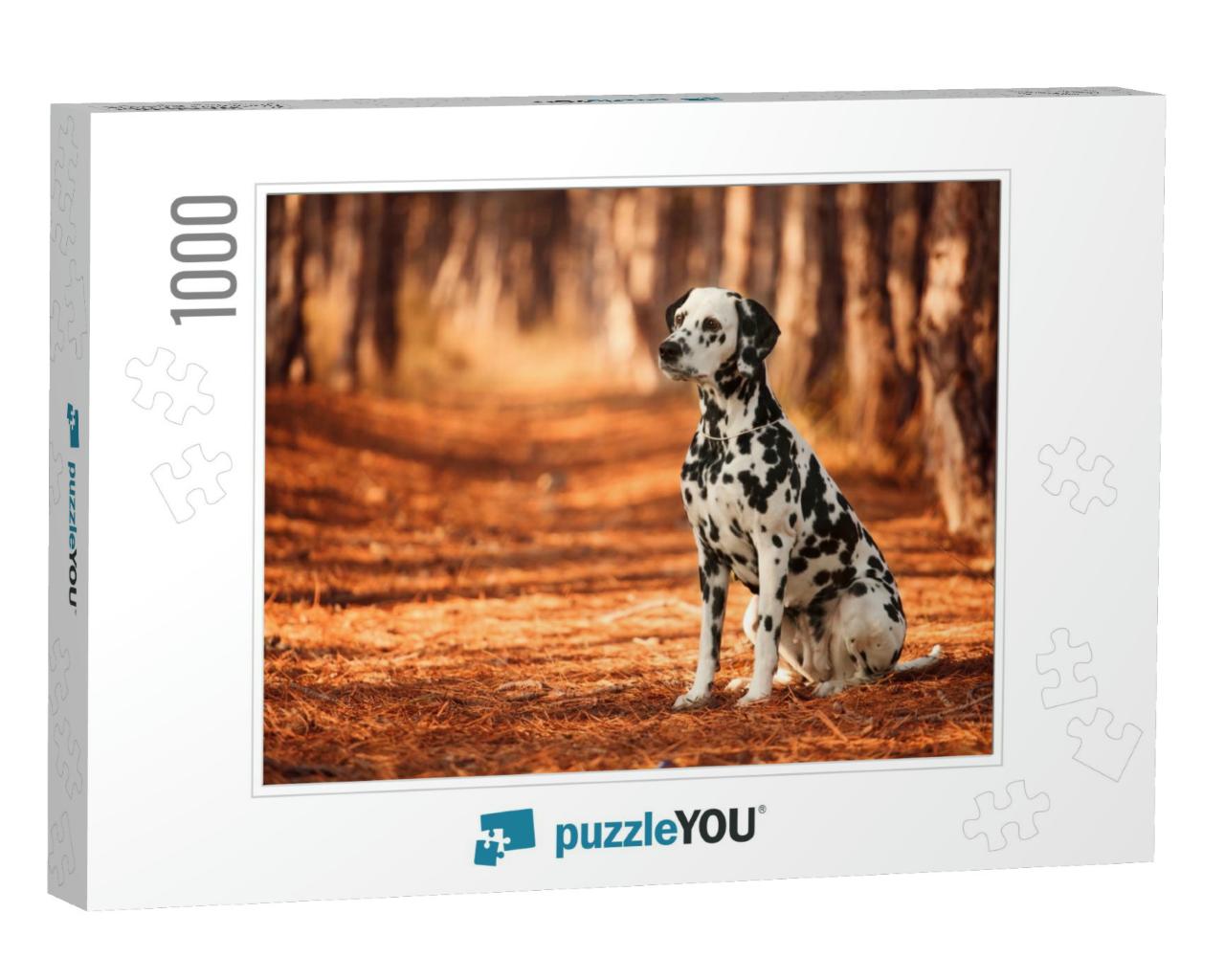 Dog Breed Dalmatian for a Walk... Jigsaw Puzzle with 1000 pieces