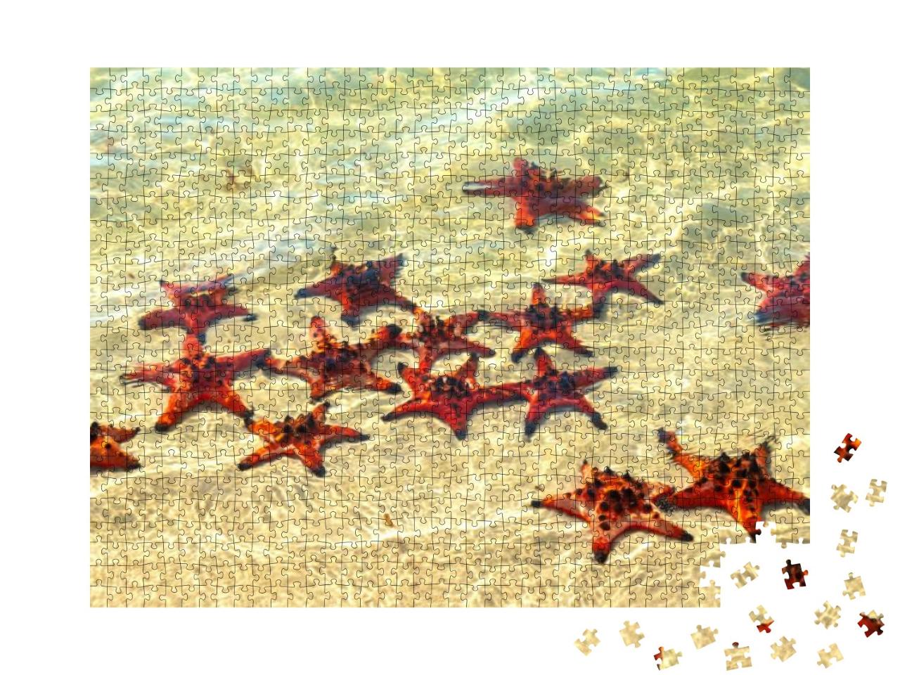 Group of Glittering Starfish on Sandy Beach in a Beautifu... Jigsaw Puzzle with 1000 pieces