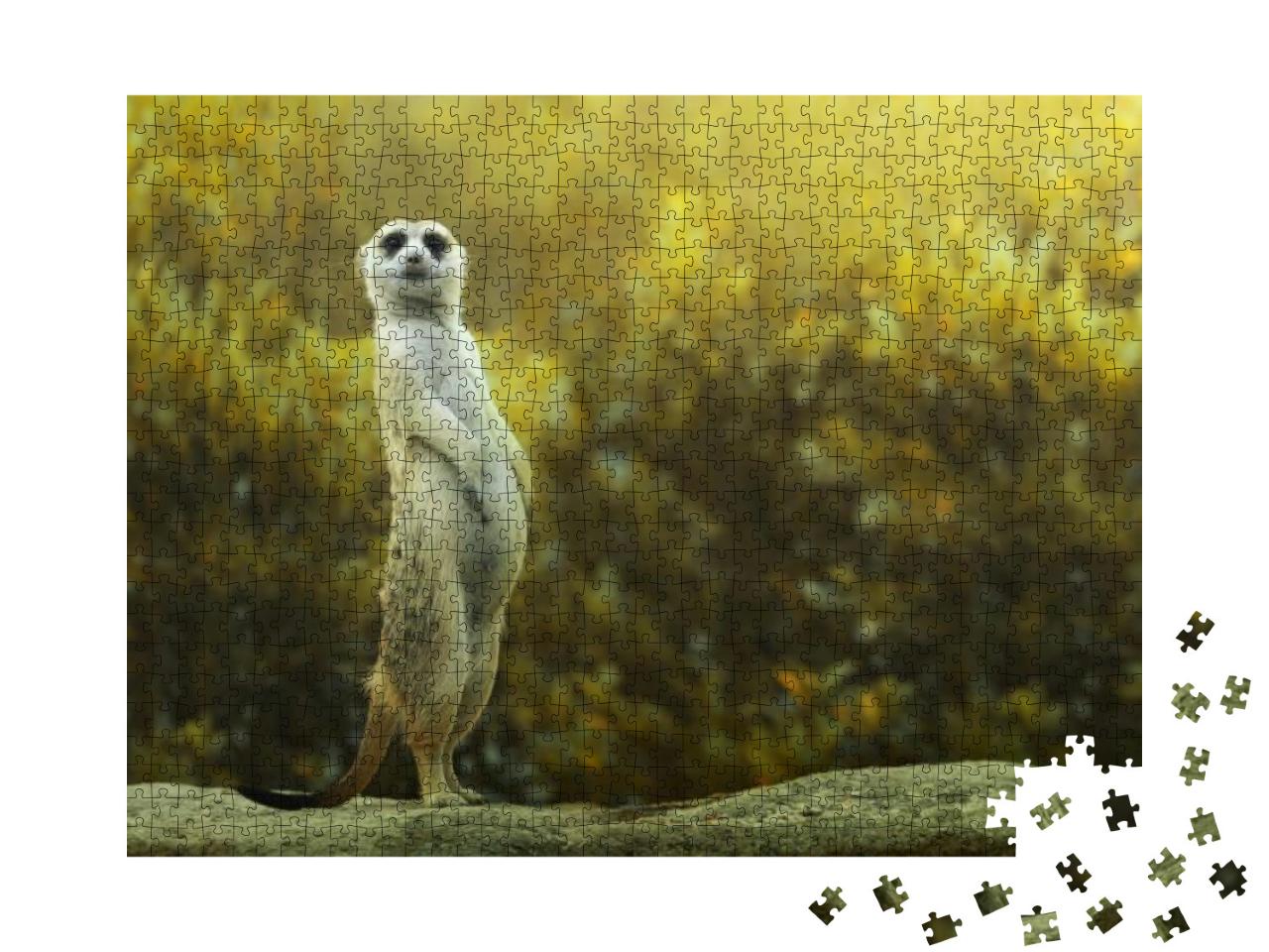 Meerkat Standing on the Stone... Jigsaw Puzzle with 1000 pieces
