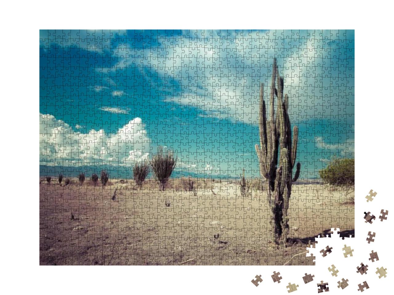 Desert, Cactus in Desert, Tatacoa Desert, Columbia, Latin... Jigsaw Puzzle with 1000 pieces