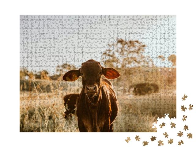 Young Cow Standing in the Grass... Jigsaw Puzzle with 1000 pieces