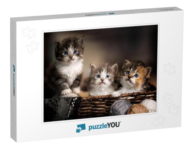 Three Kittens in a Basket Closeup... Jigsaw Puzzle