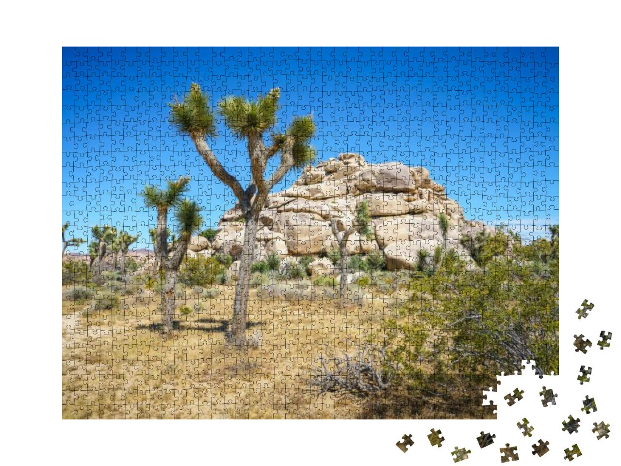 Joshua Tree National Park in the Usa... Jigsaw Puzzle with 1000 pieces