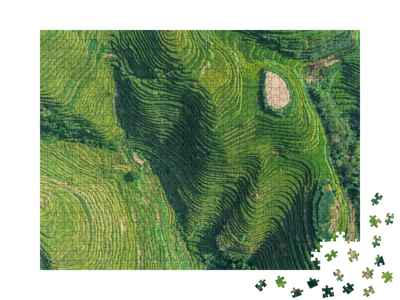 Top View or Aerial Shot of Fresh Green & Yellow Rice Fiel... Jigsaw Puzzle with 1000 pieces
