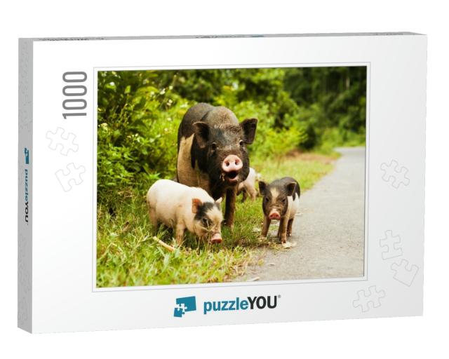 Cute Pig with Piglets on Countryside Road... Jigsaw Puzzle with 1000 pieces