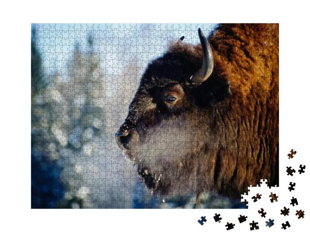 Bison in the Wild, in Winter, Against the Background of F... Jigsaw Puzzle with 1000 pieces