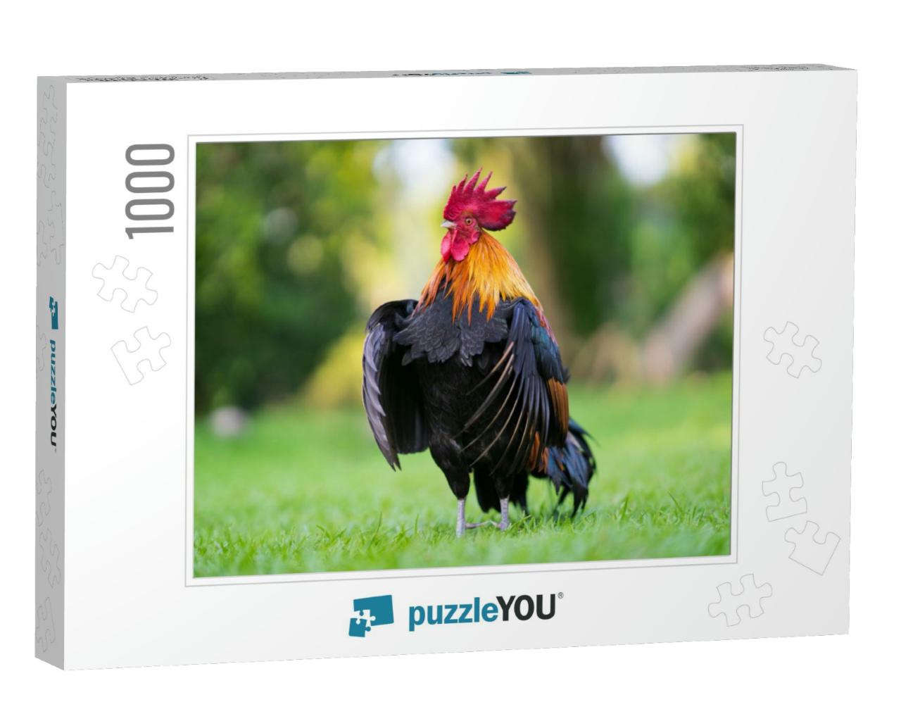 Beautiful Rooster Standing on the Grass in Blurred Nature... Jigsaw Puzzle with 1000 pieces