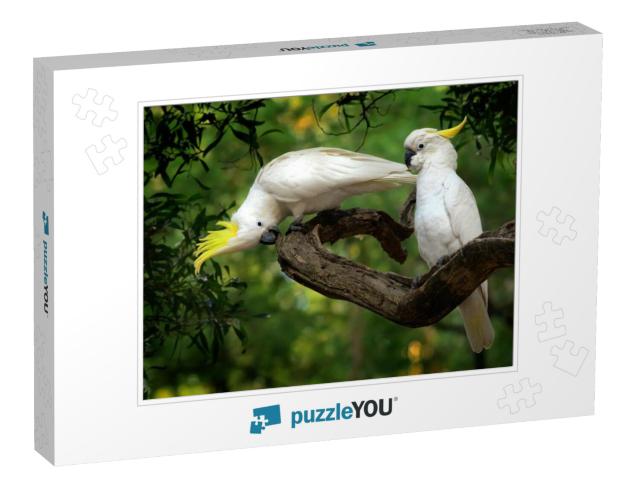 Cacatua Galerita - Sulphur-Crested Cockatoo Sitting on th... Jigsaw Puzzle