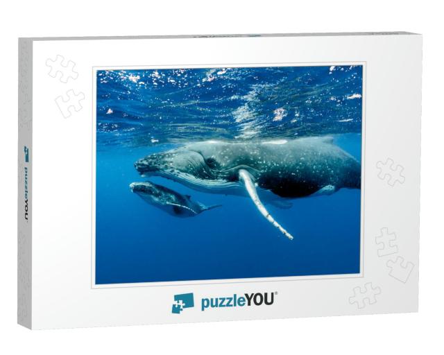 Humpback Whales Pacific Ocean... Jigsaw Puzzle