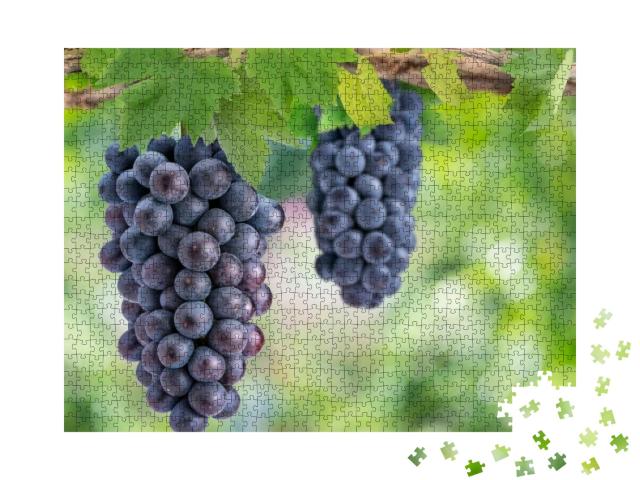 Bunch of Black Wine Grape on a Branch Over Green Natural... Jigsaw Puzzle with 1000 pieces