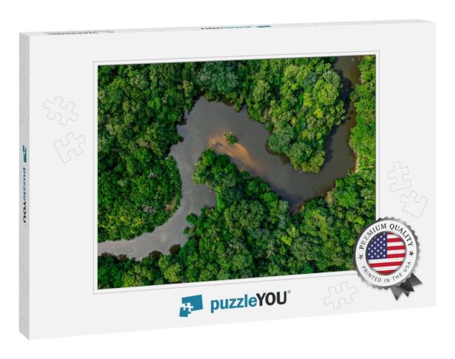 The Jungle Crossed by a River... Jigsaw Puzzle